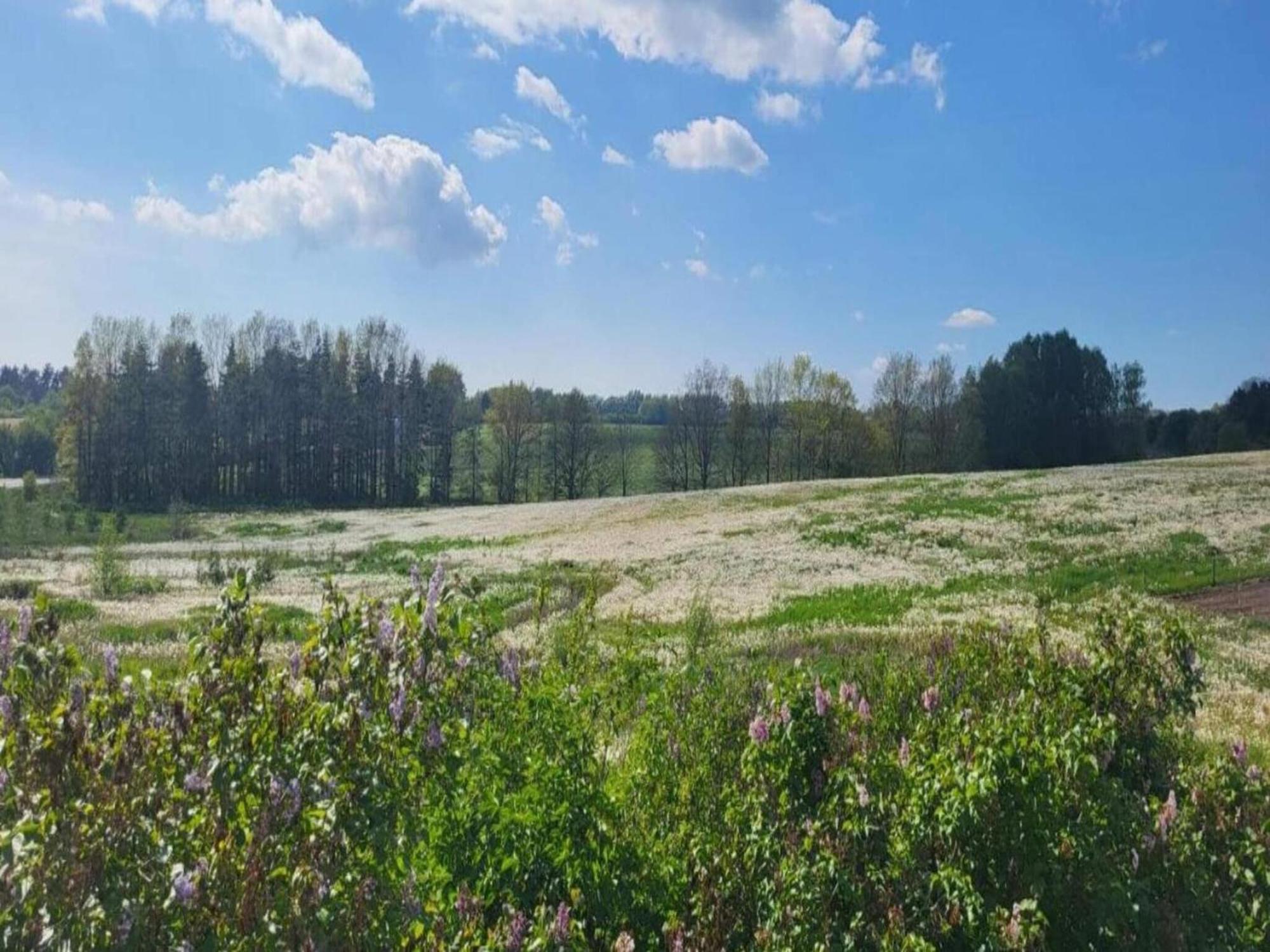 Lysbjerg Lägenhet Fåborg Exteriör bild