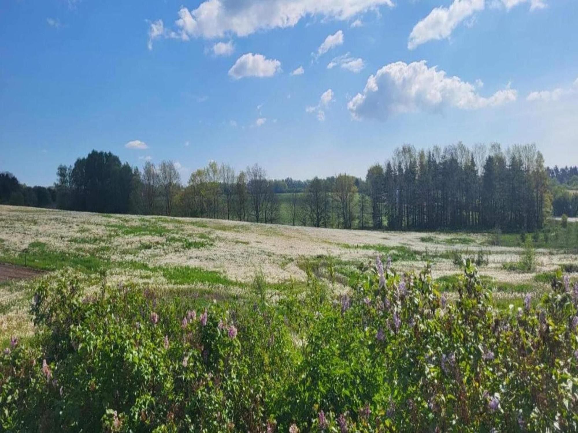 Lysbjerg Lägenhet Fåborg Exteriör bild