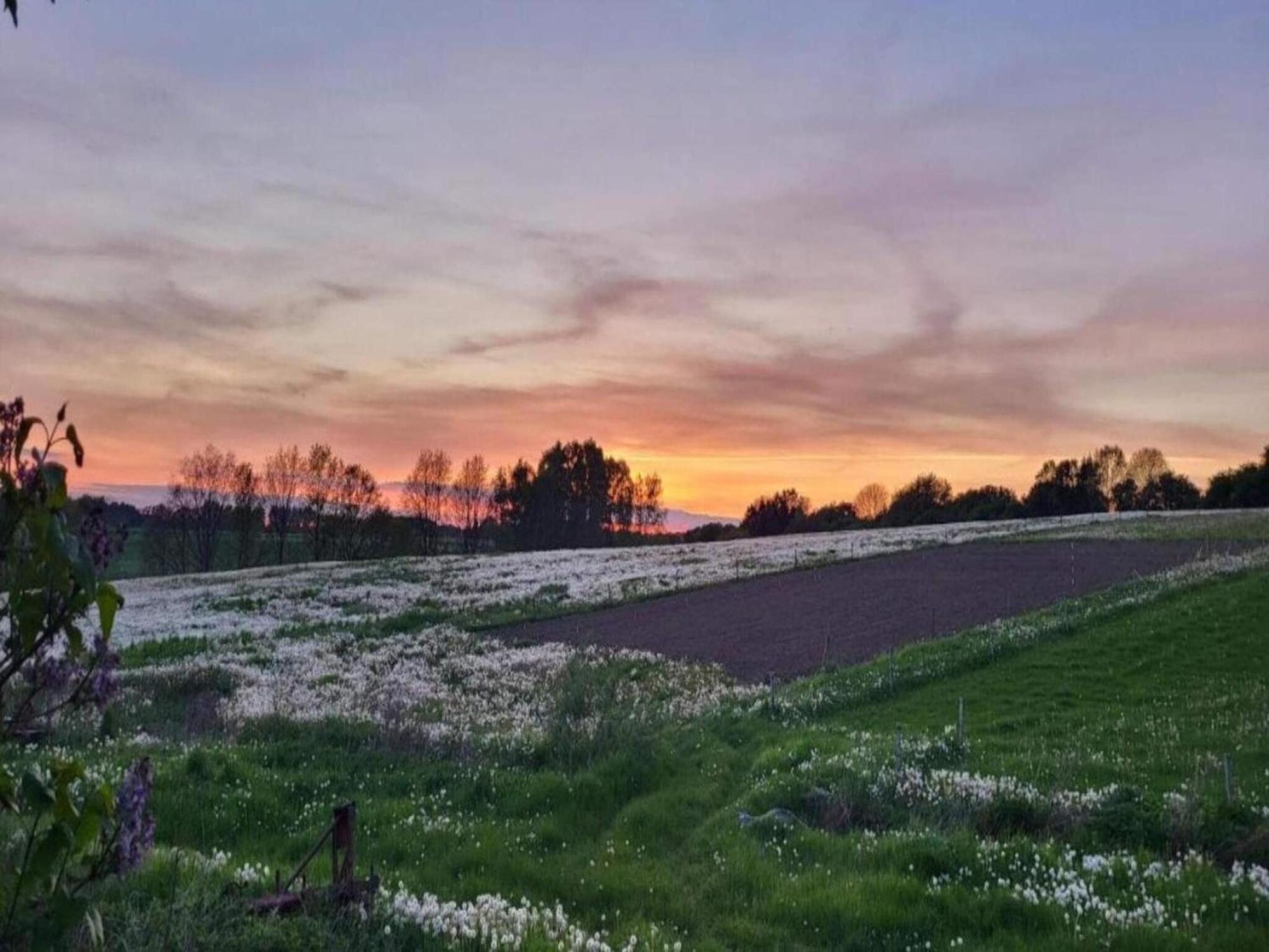Lysbjerg Lägenhet Fåborg Exteriör bild